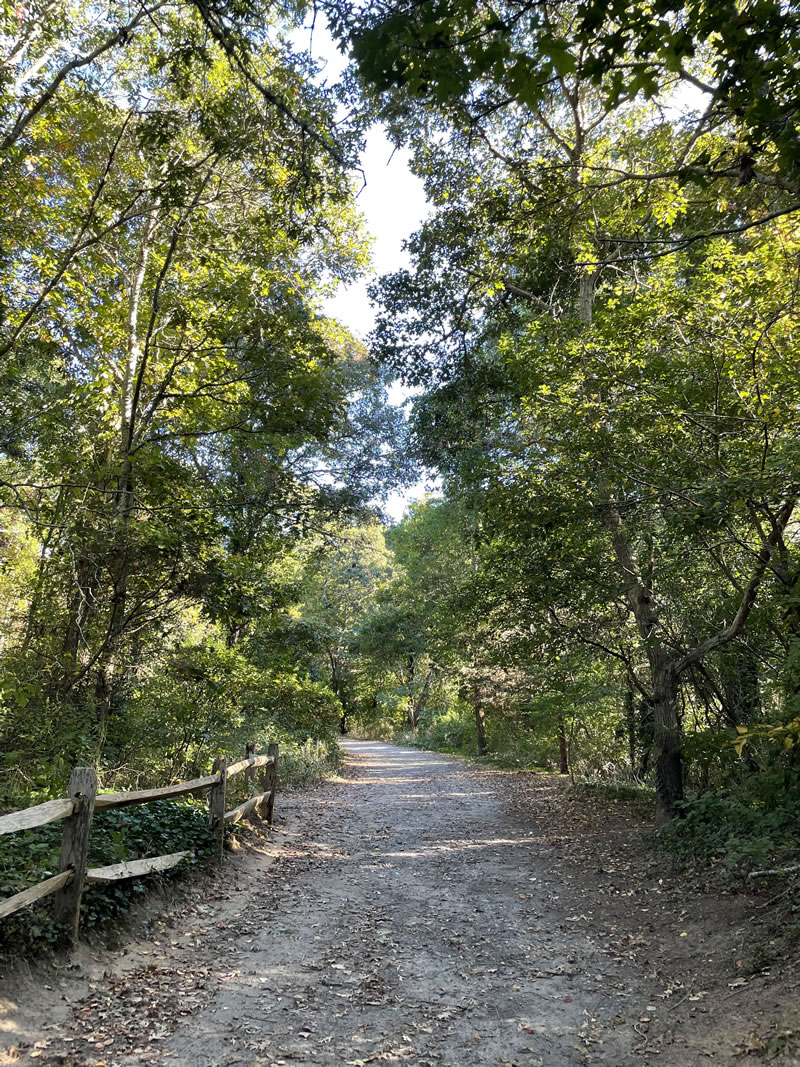 bike-path-cape-cod